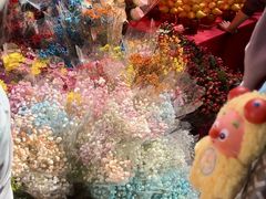 -越秀西湖花市(广州城市广场花卉店)