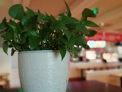 -肯德基(建华店)