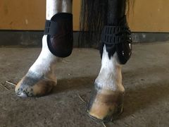 -松声马术俱乐部