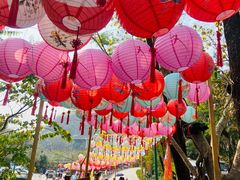 -西双版纳原始森林公园