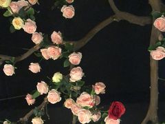 -韵秋荷(宝山龙湖天街店)