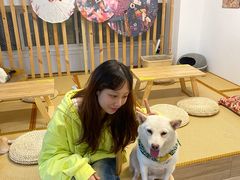 -柴迷FANS CLUB·柴犬狗咖·猫咖