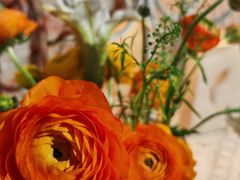-Jo's Garden