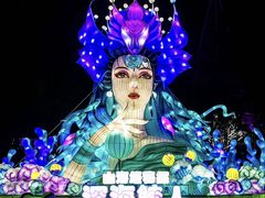 -海合安武汉极地海洋公园