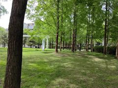 -唐城墙遗址公园