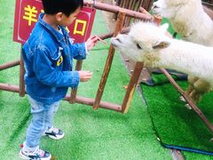 -秀丽东方