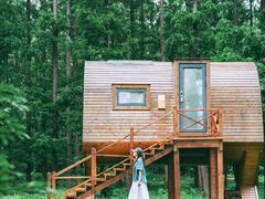 -黄海国家森林公园