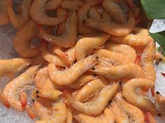 -沈阳和平艾美酒店新食谱西餐厅
