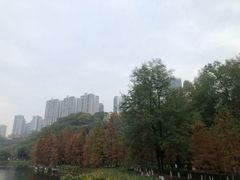 -重庆彩云湖湿地公园