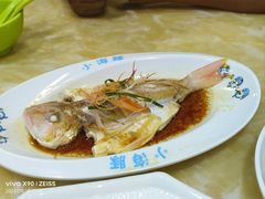 -小海豚•老字号海鲜餐厅(天涯店)