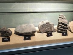 -甘肃地质博物馆