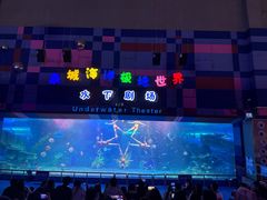 -泉城欧乐堡海洋极地世界