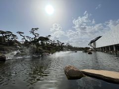 -罗红摄影艺术馆