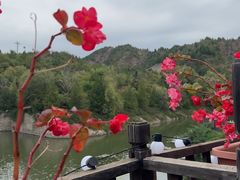 -望京楼flavor餐厅(古北水镇景区店)