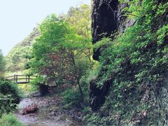 -夏霖九天银瀑风景区