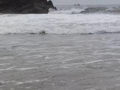 -皮口港