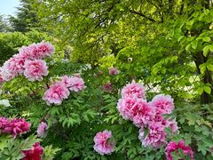 -河南省黄河迎宾馆