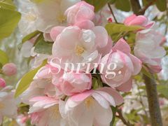 -海棠花溪(元大都城垣遗址公园)