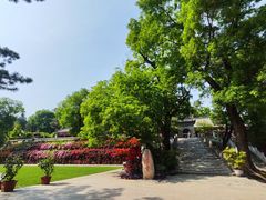 -红螺寺