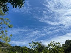 -广州白江湖森林公园