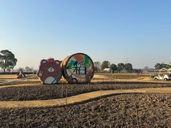 -嘉北郊野公园
