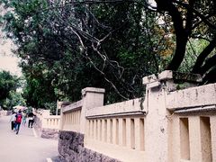 -八大关景区