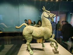 -广西壮族自治区博物馆