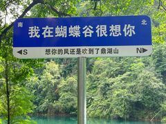 -鼎湖山风景区