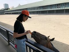 -鲤鱼山公园