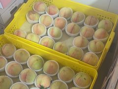 -老袁家蜜桃农场·阳山水蜜桃