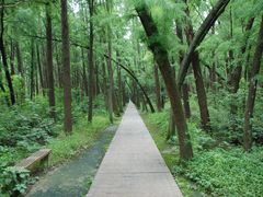 -同里国家湿地公园