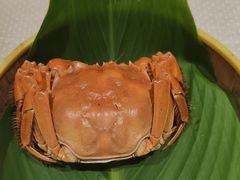 -好兄弟郭巨海鲜(天一阁店)