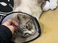 -白兔子密室(长寿路店)