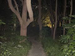 -西郊宾馆-地面停车场