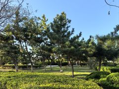 -蓬莱仙岛
