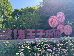 -大望京公园