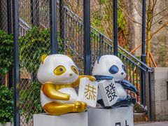 -嫩芽 ·地道重庆菜(十八梯露台夜景店)