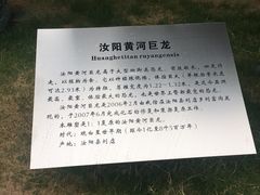 -河南自然博物馆