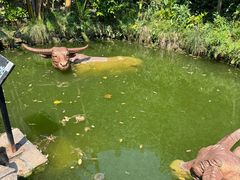 -燊海井