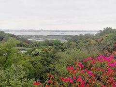 -广州莲花山旅游区