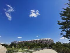 -门框胡同百年卤煮(鸟巢店)