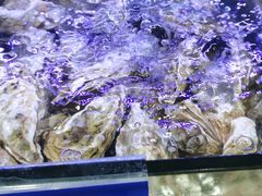 -江南村海鲜馆(洞头店)