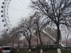 -天津之眼摩天轮