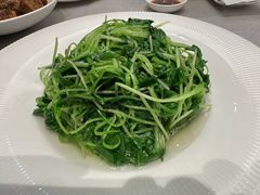 清汤萝卜苗-宁海食府(北岸琴森店)