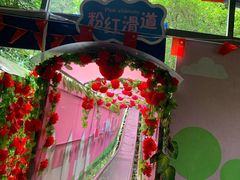 -牛鱼嘴原始生态风景区