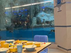 -帝企鹅自助餐厅•儿童岛•真企鹅(长隆企鹅酒店)