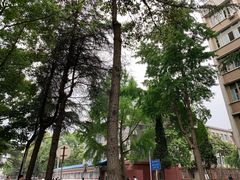 -四川大学(望江校区)