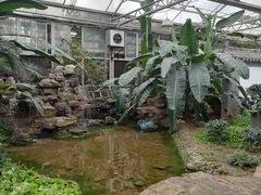 -石家庄市植物园