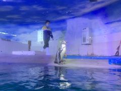 -宁波海洋世界-售票处