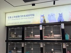 -翊宠yipet猫狗购宠庄园犬舍•猫舍